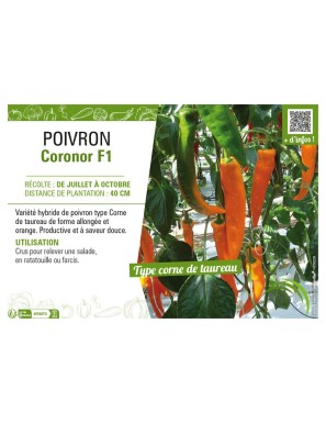 POIVRON CORONOR F1