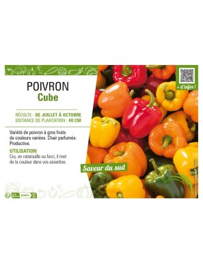 POIVRON CUBE