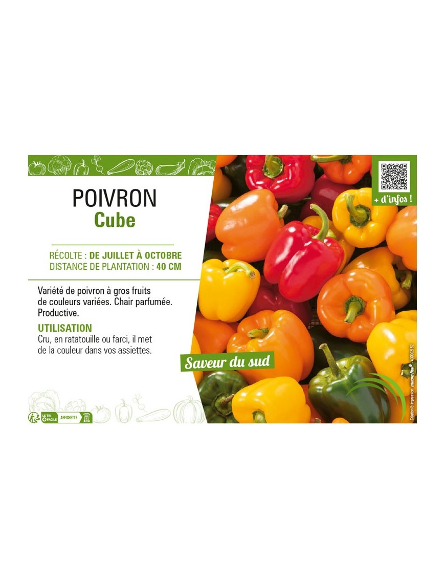 POIVRON CUBE