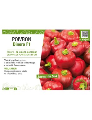 POIVRON DINERO F1