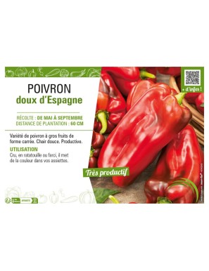 POIVRON DOUX D'ESPAGNE