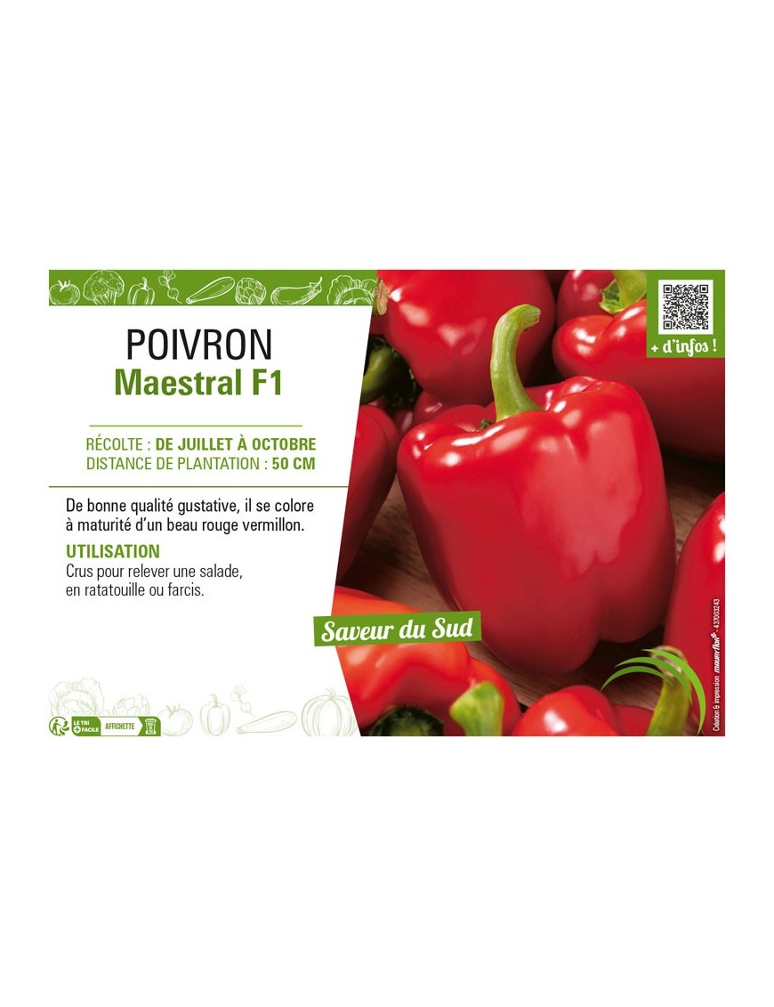 POIVRON MAESTRAL F1