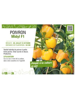 POIVRON MIDYL F1