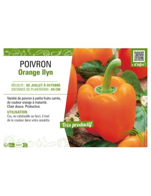 POIVRON ORANGE ILYN