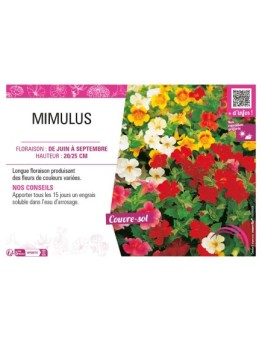MIMULUS