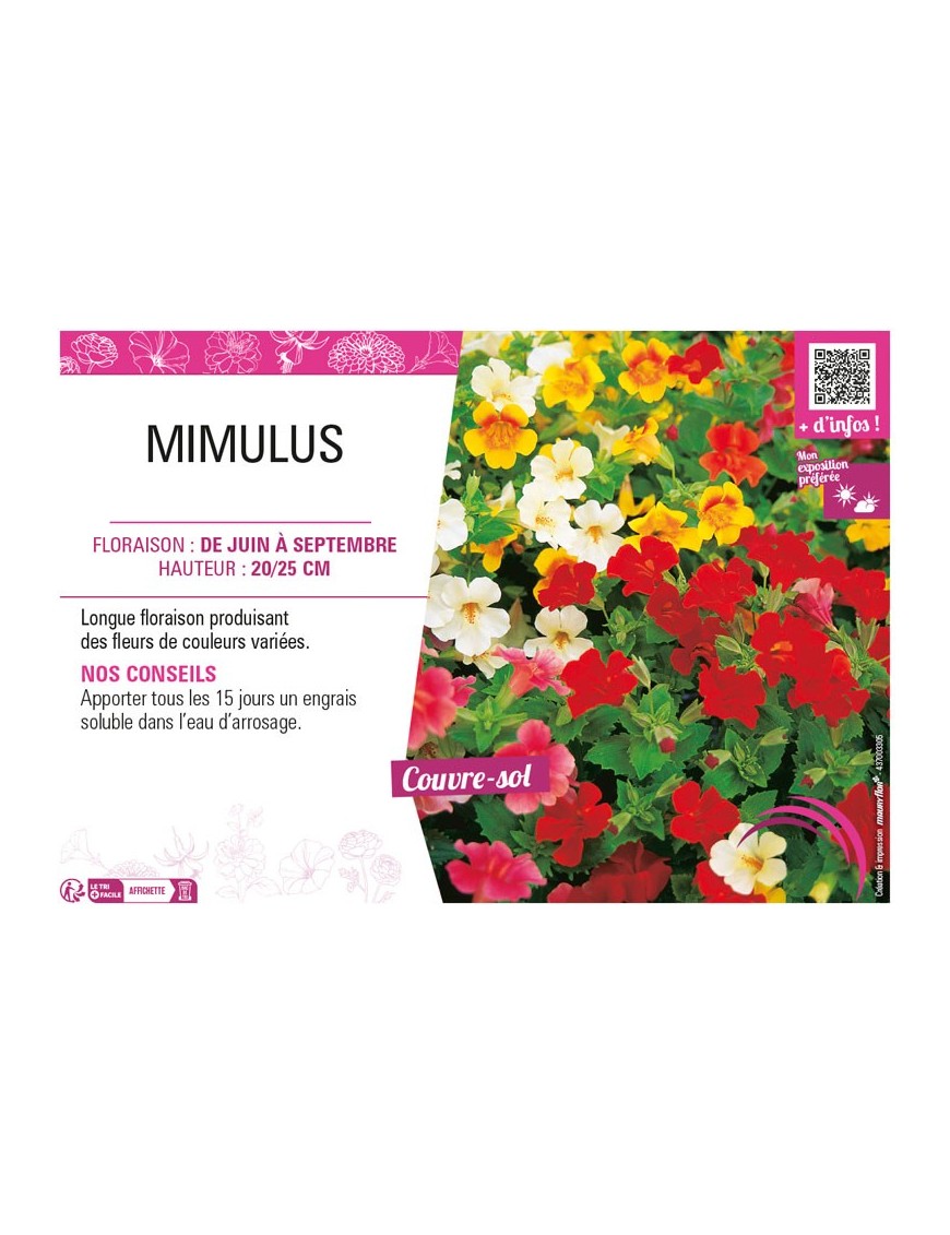 MIMULUS