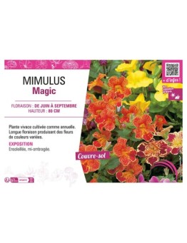 MIMULUS MAGIC