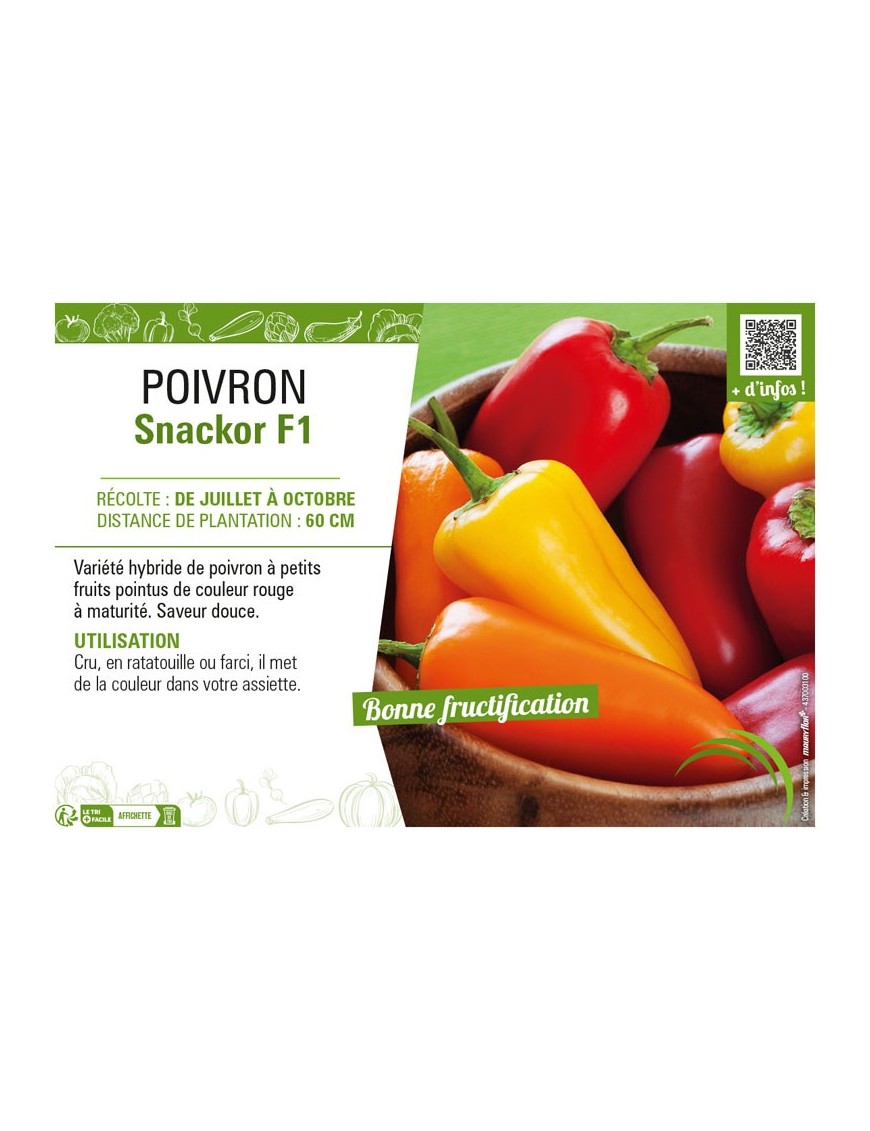 POIVRON SNACKOR F1