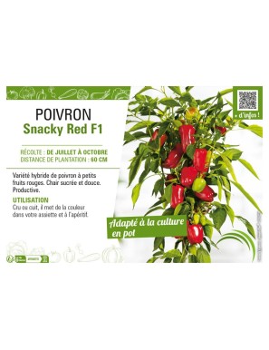 POIVRON SNACKY RED F1