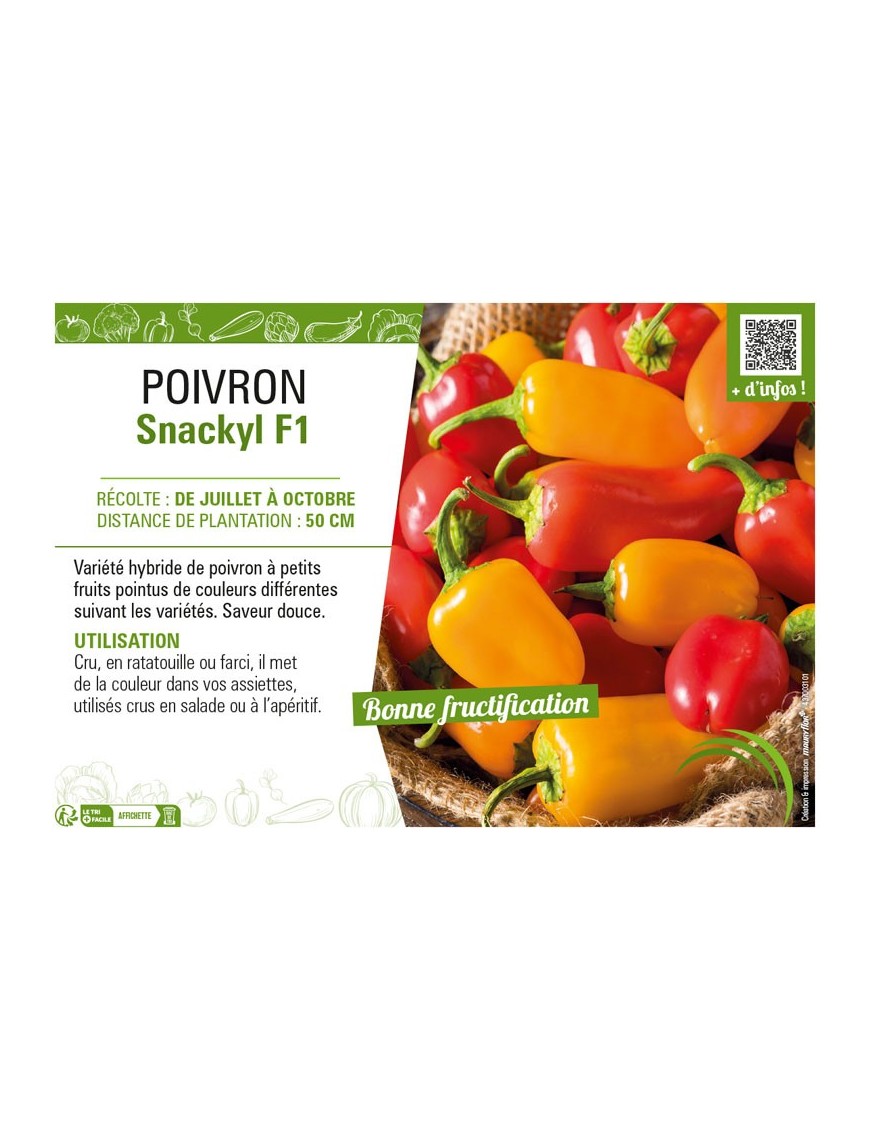 POIVRON SNACKYL F1
