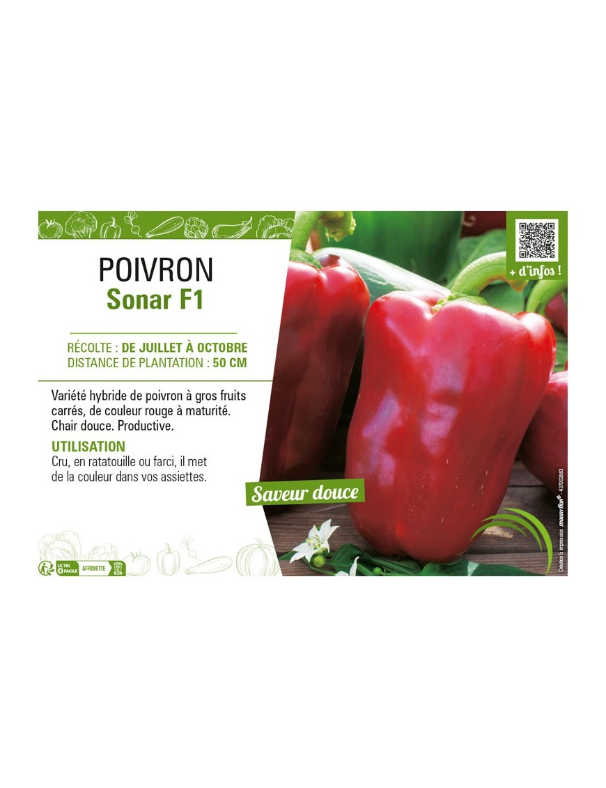 POIVRON SONAR F1