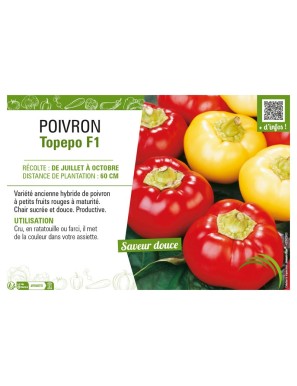 POIVRON TOPEPO F1 (ROND)