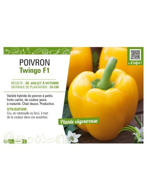 POIVRON TWINGO F1
