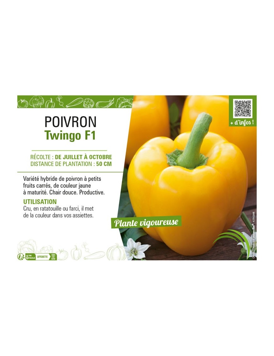 POIVRON TWINGO F1