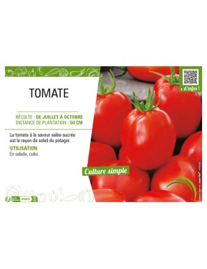 TOMATE