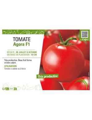TOMATE AGORA F1