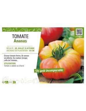TOMATE ANANAS