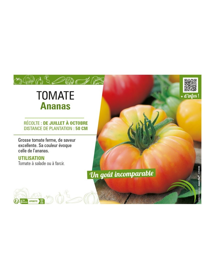 TOMATE ANANAS
