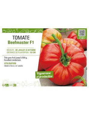 TOMATE BEEFMASTER F1