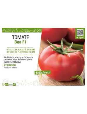 TOMATE BOA F1