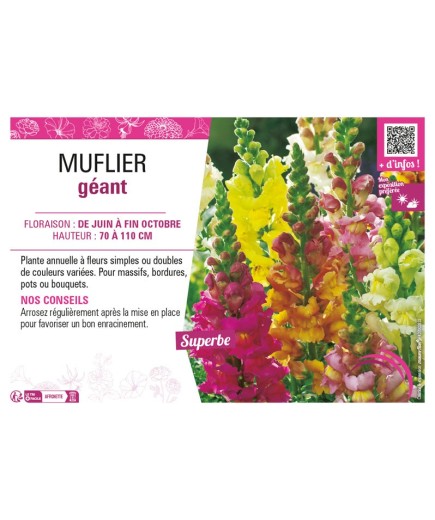 MUFLIER GÉANT (varié)