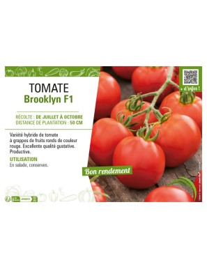 TOMATE BROOKLYN F1