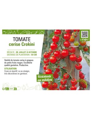 TOMATE CERISE (ROUGE) CROKINI