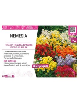 NEMESIA (varié)