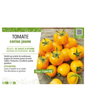 TOMATE CERISE JAUNE