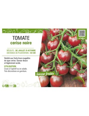TOMATE CERISE NOIRE