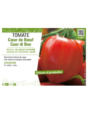 TOMATE CŒUR DE BŒUF CUOR DI BUE