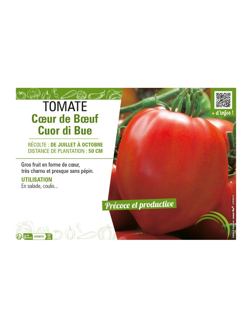 TOMATE CŒUR DE BŒUF CUOR DI BUE