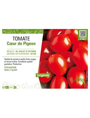 TOMATE CŒUR DE PIGEON
