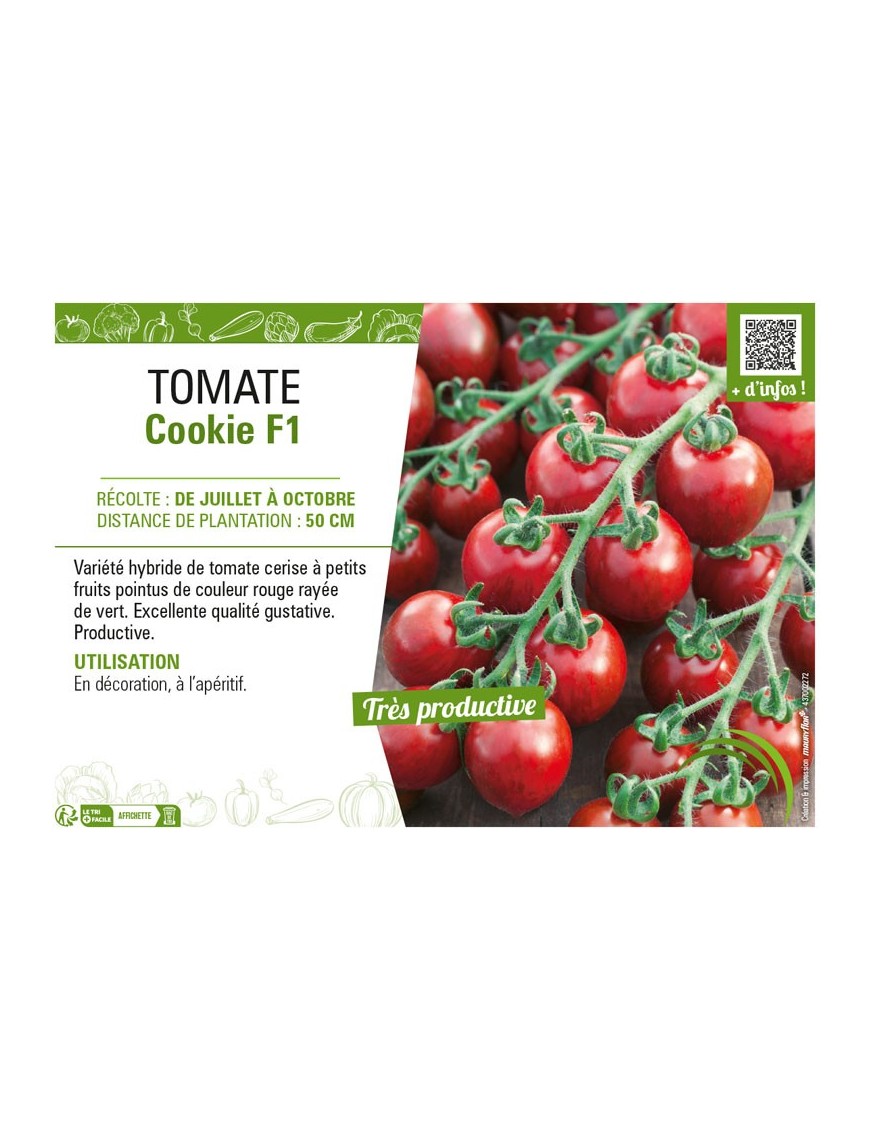TOMATE COOKIE F1