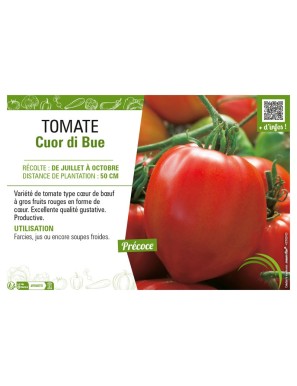 TOMATE CUOR DI BUE
