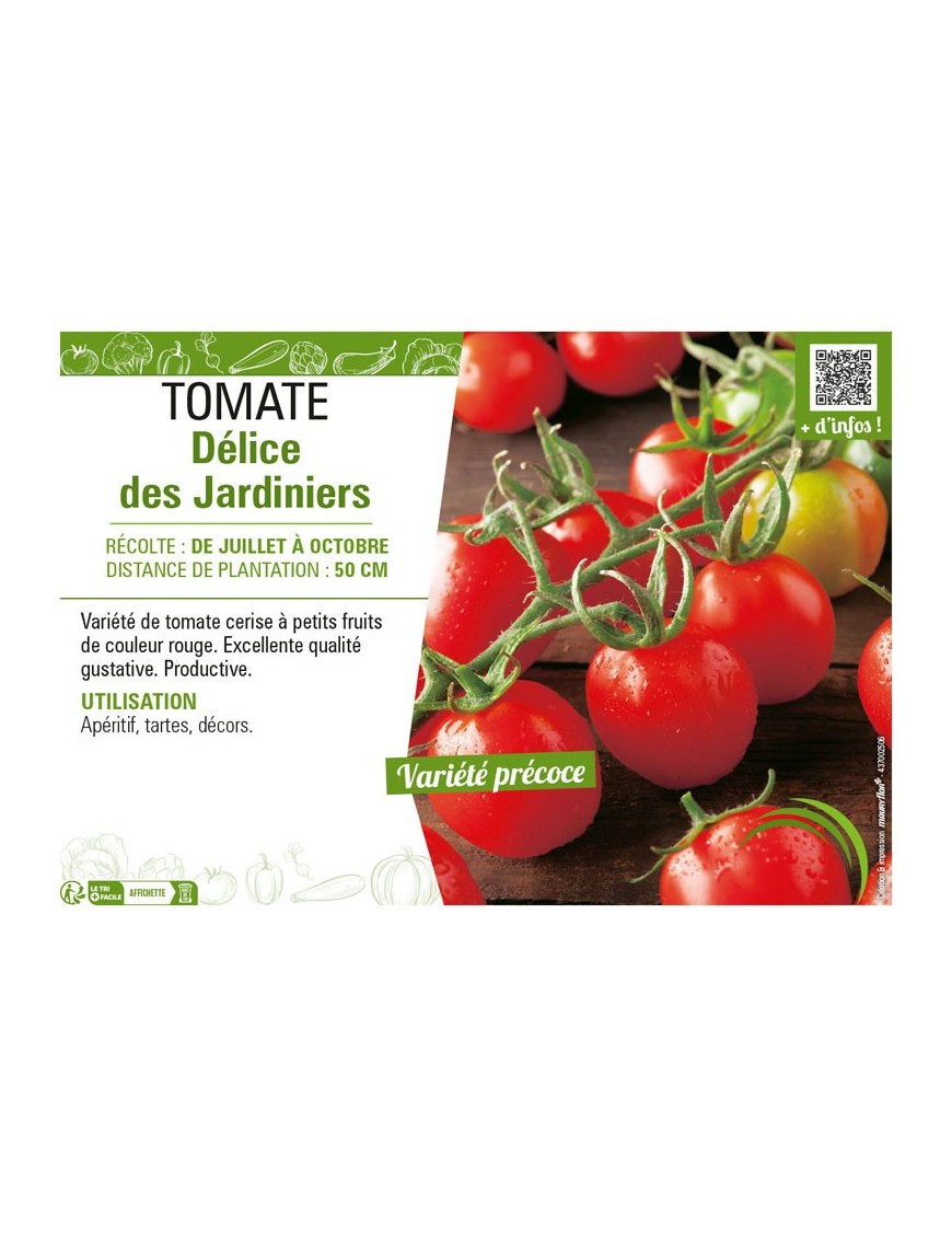 TOMATE DELICES DES JARDINIERS