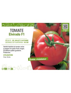 TOMATE ELVIRADO F1