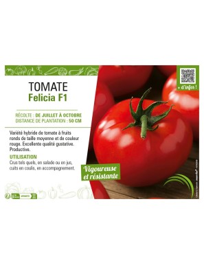 TOMATE FELICIA F1