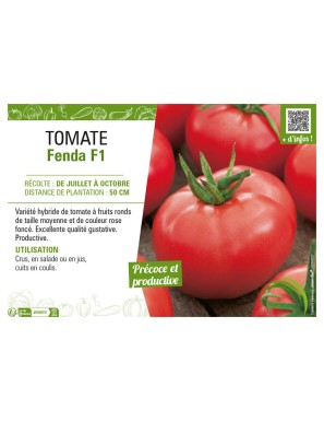 TOMATE FENDA F1