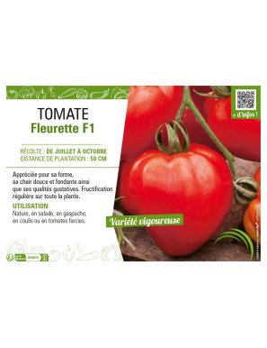 TOMATE FLEURETTE F1