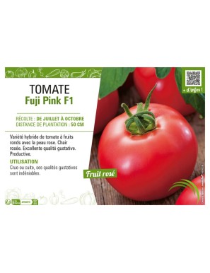 TOMATE FUJI PINK F1