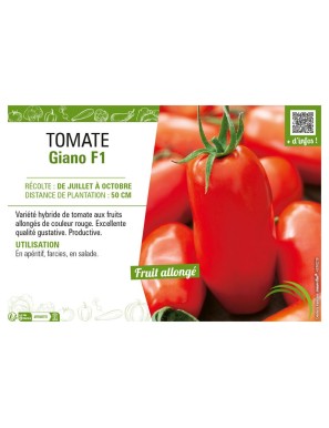 TOMATE GIANO F1