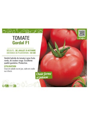 TOMATE GORDAL F1