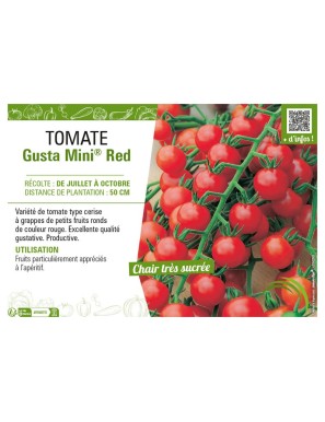 TOMATE GUSTA MINI® RED