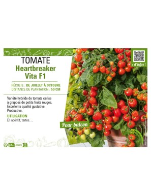 TOMATE HEARTBREAKER VITA F1