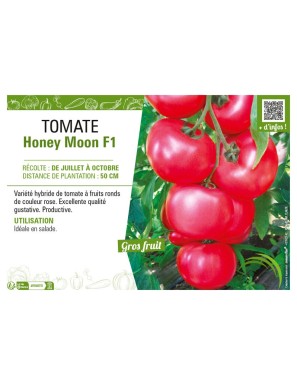 TOMATE HONEY MOON F1