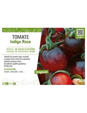 TOMATE INDIGO ROSE