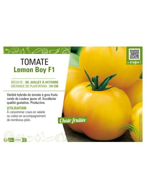 TOMATE LEMON BOY F1