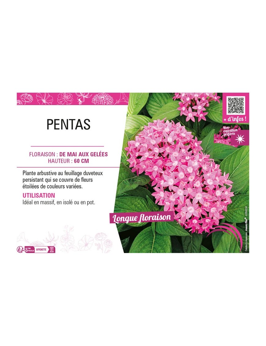 PENTAS