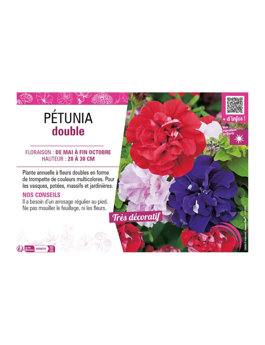 PÉTUNIA DOUBLE (varié)